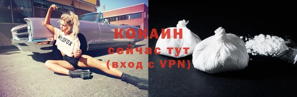 ALPHA PVP Гусь-Хрустальный